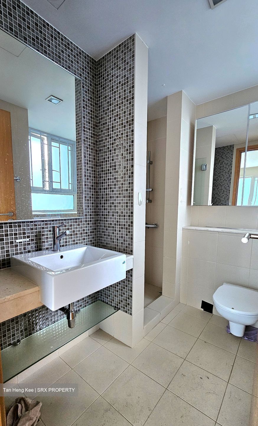Mera Springs (D8), Condominium #578785071